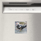 Aimant avec canard (In Situ (Lave-vaisselle))