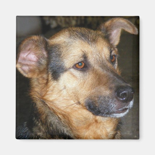 Aimant avec chien (Devant)