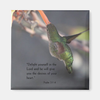 aimant avec colibri - délice dans le Seigneur