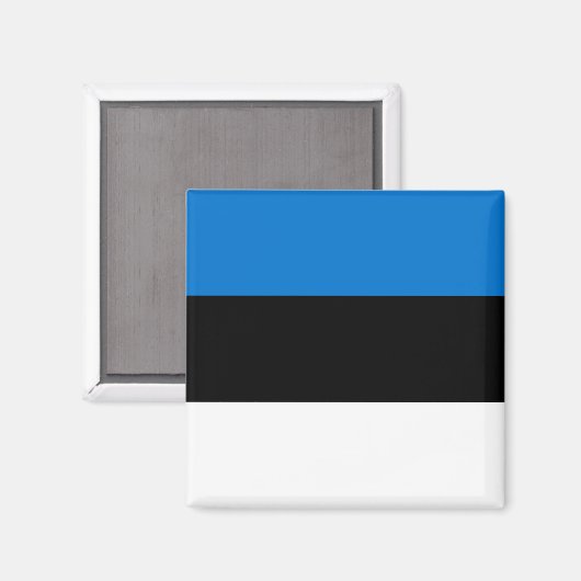 Aimant avec Drapeau d'Estonie (Recto/Verso)