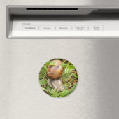 Aimant avec escargot solitaire. (In Situ (Lave-vaisselle))