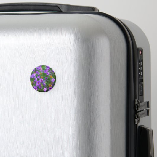 AIMANT avec fleurs violettes (In Situ (Bagages))