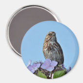 aimant avec impression d'un petit oiseau chanteur (Recto/Verso)