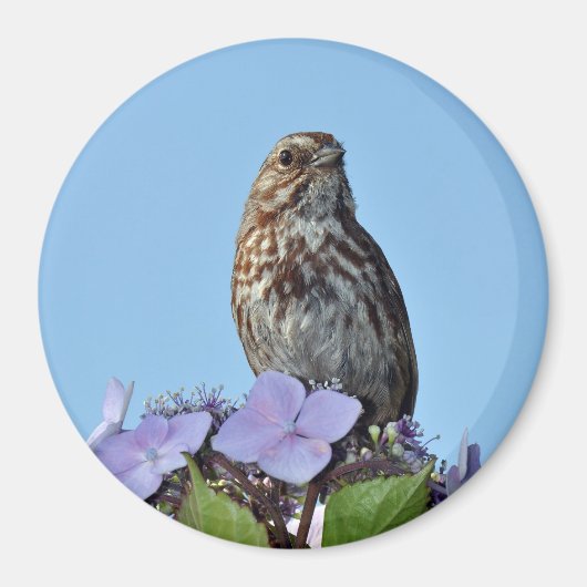 aimant avec impression d'un petit oiseau chanteur (Devant)