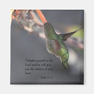 aimant avec le colibri - enchantez dans le