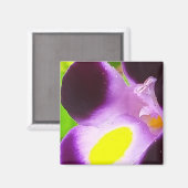Aimant avec une fleur naturelle (Recto/Verso)