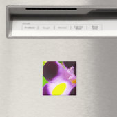 Aimant avec une fleur naturelle (In Situ (Lave-vaisselle))