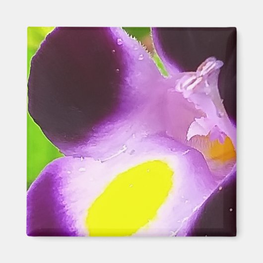 Aimant avec une fleur naturelle (Devant)