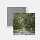 Aimant Avenue Des Chênes (Recto/Verso)