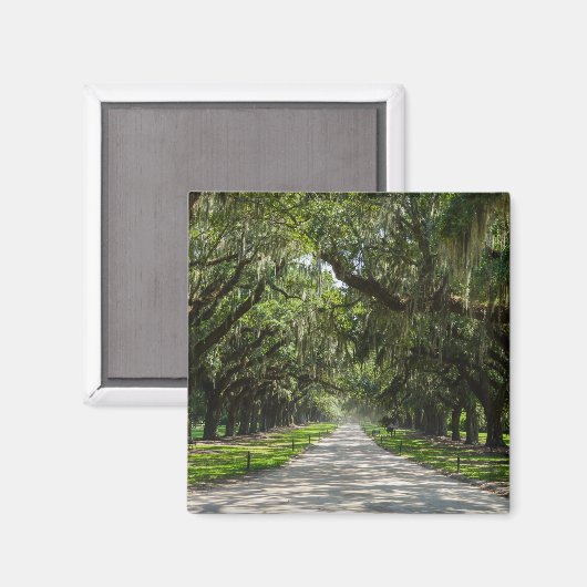 Aimant Avenue Des Chênes (Recto/Verso)