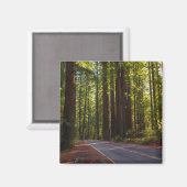 Aimant Avenue du séquoia géant Californie (Recto/Verso)