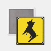 Aimant Avertissement - Chihuahua Xing ! (Recto/Verso)