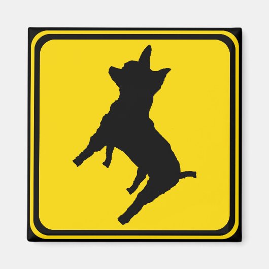 Aimant Avertissement - Chihuahua Xing ! (Devant)