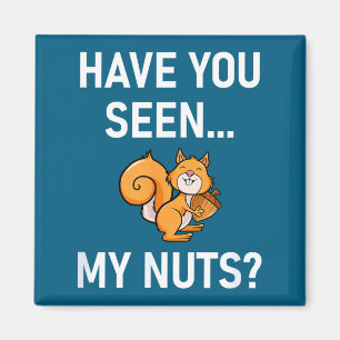 Aimant Avez-vous vu mes noix, Squirrel Pun drôle, Blagues