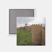 Aimant Avila (Recto/Verso)