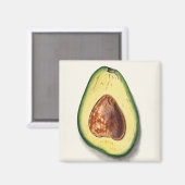 Aimant Avocado (Recto/Verso)