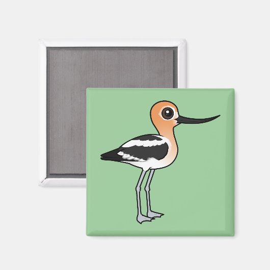 Aimant Avocet américain (Recto/Verso)