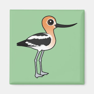 Aimant Avocet américain