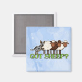 Aimant avoir des moutons (Recto/Verso)