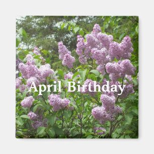 Aimant Avril Anniversaire Lovely Lilac Bush