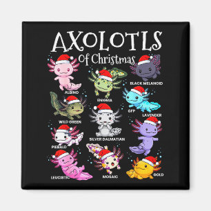 Aimant Axolotls Chapeau de Père Noël Pyjama de Noël Anima