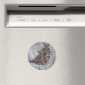 Aimant B11 Chouette à oreilles courtes (In Situ (Lave-vaisselle))