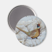 Aimant B22 Pheasant à cou circulaire (Recto/Verso)