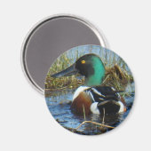 Aimant B25 Canard souchet (Recto/Verso)