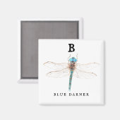 Aimant "B" Bleu Darner (Recto/Verso)