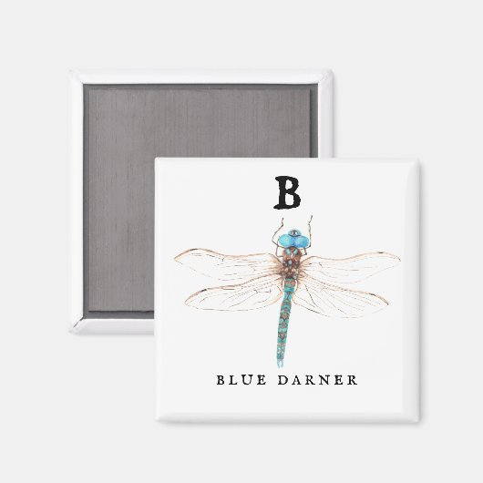 Aimant "B" Bleu Darner (Recto/Verso)