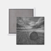 Aimant B&W Barley Field (Recto/Verso)
