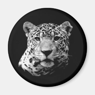 Aimant B&W Jaguar
