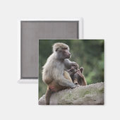 Aimant Baboon mère allaitant sa jeune (Recto/Verso)