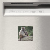 Aimant Baboon mère allaitant sa jeune (In Situ (Lave-vaisselle))
