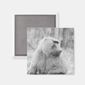 Aimant babouin africain (Recto/Verso)