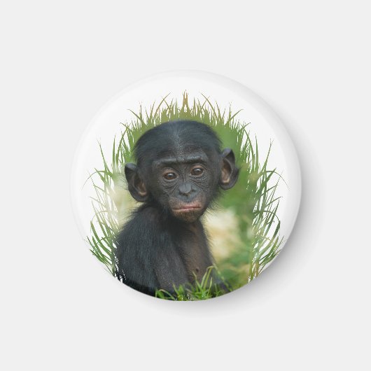 Aimant Baby Ape dans l'herbe (Devant)