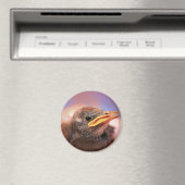 Aimant Baby Bird (In Situ (Lave-vaisselle))