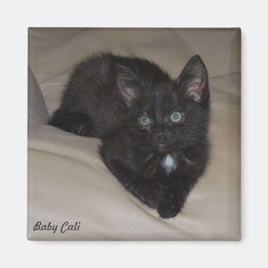 Aimant Baby Cali (Devant)