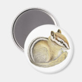 Aimant Baby Chipmunk (Recto/Verso)