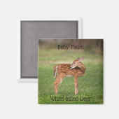 Aimant Baby Deer Fawn avec des points blancs (Recto/Verso)