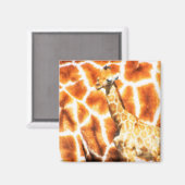 Aimant Baby Giraffe (Recto/Verso)