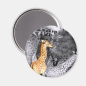 Aimant Baby Giraffe (Recto/Verso)