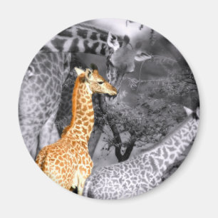 Aimant Baby Giraffe
