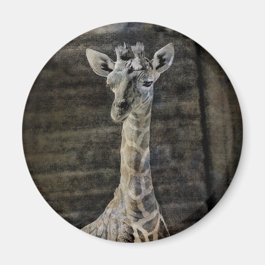Aimant Baby Giraffe (Devant)