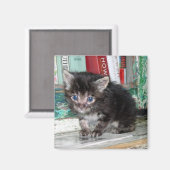 Aimant Baby Kitty (Recto/Verso)