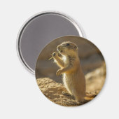 Aimant Baby prairie chien mangeant, Arizona (Recto/Verso)