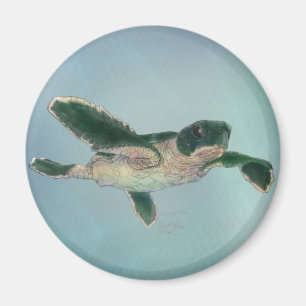 Aimant Baby sea Turtle