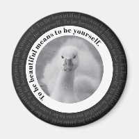 Baby Swan Be Yself Black & White Photo