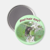 Aimant Bad Hair Day Fly Coordinating Items (Recto/Verso)