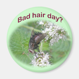 Aimant Bad Hair Day Fly Coordinating Items